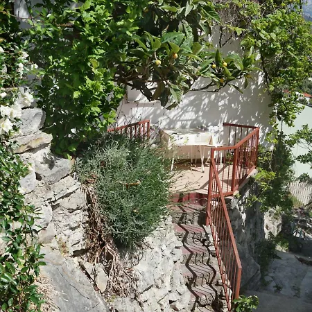 Feral Apartment